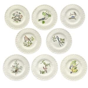 Alfred Meakin “Birds of America” Set of 8 Ceramic Dinner Plates 11” Audubon